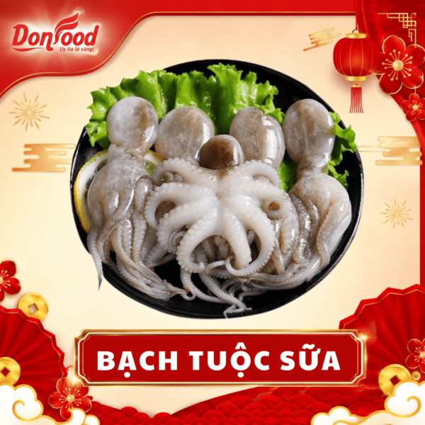 Bạch Tuộc Sữa
