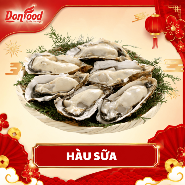 Hàu Sữa